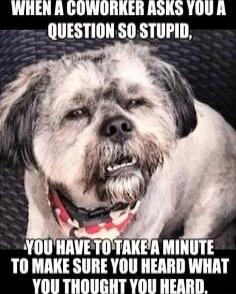 WHEN A COWORKER ASKS YOU A QUESTION SO STUPID, YOU HAVE TO TAKE A MINUTE TO MAKE SURE YOU HEARD WHAT YOU THOUGHT YOU HEARD.