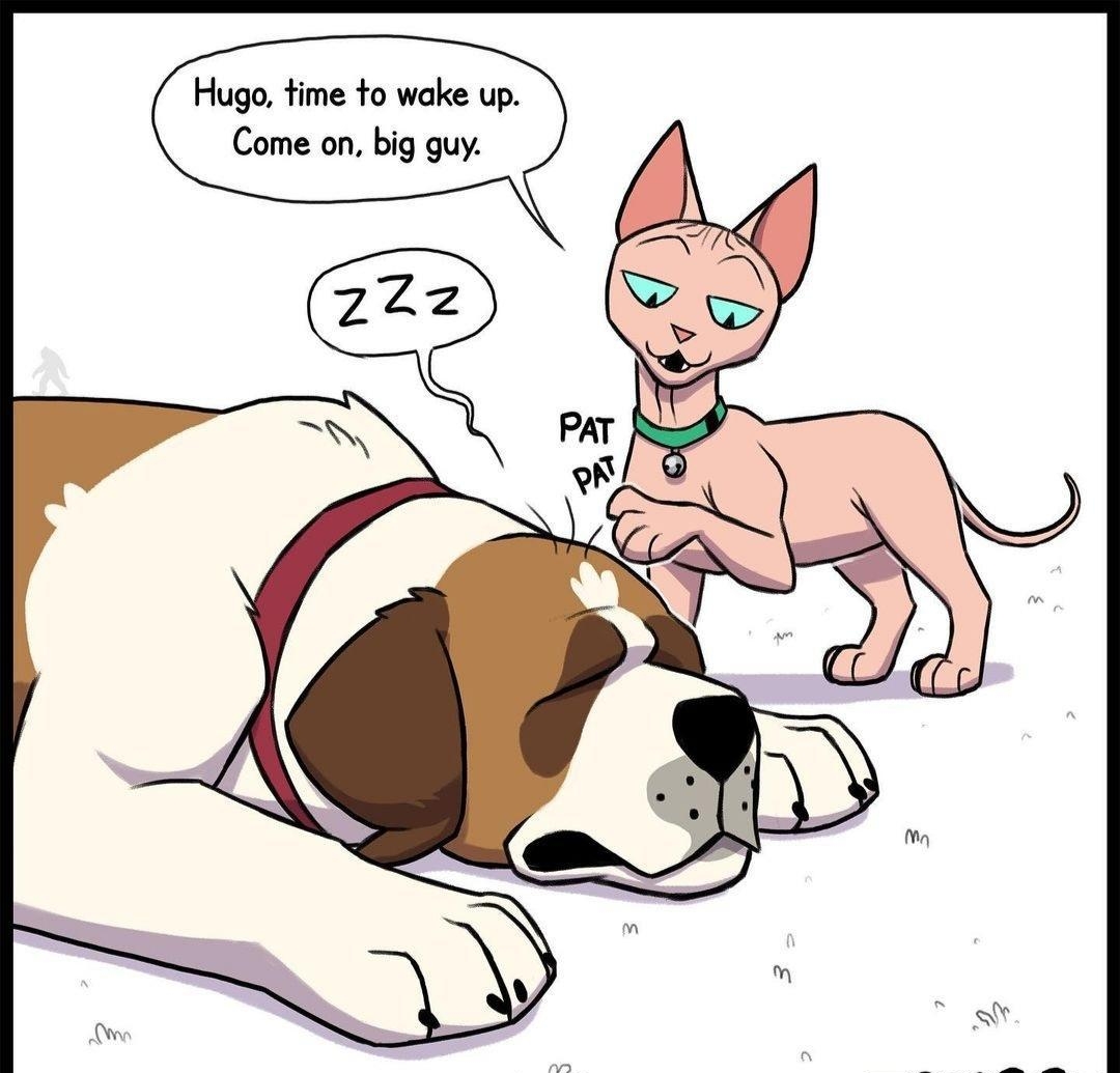 Hugo time to wake up Come on big guy