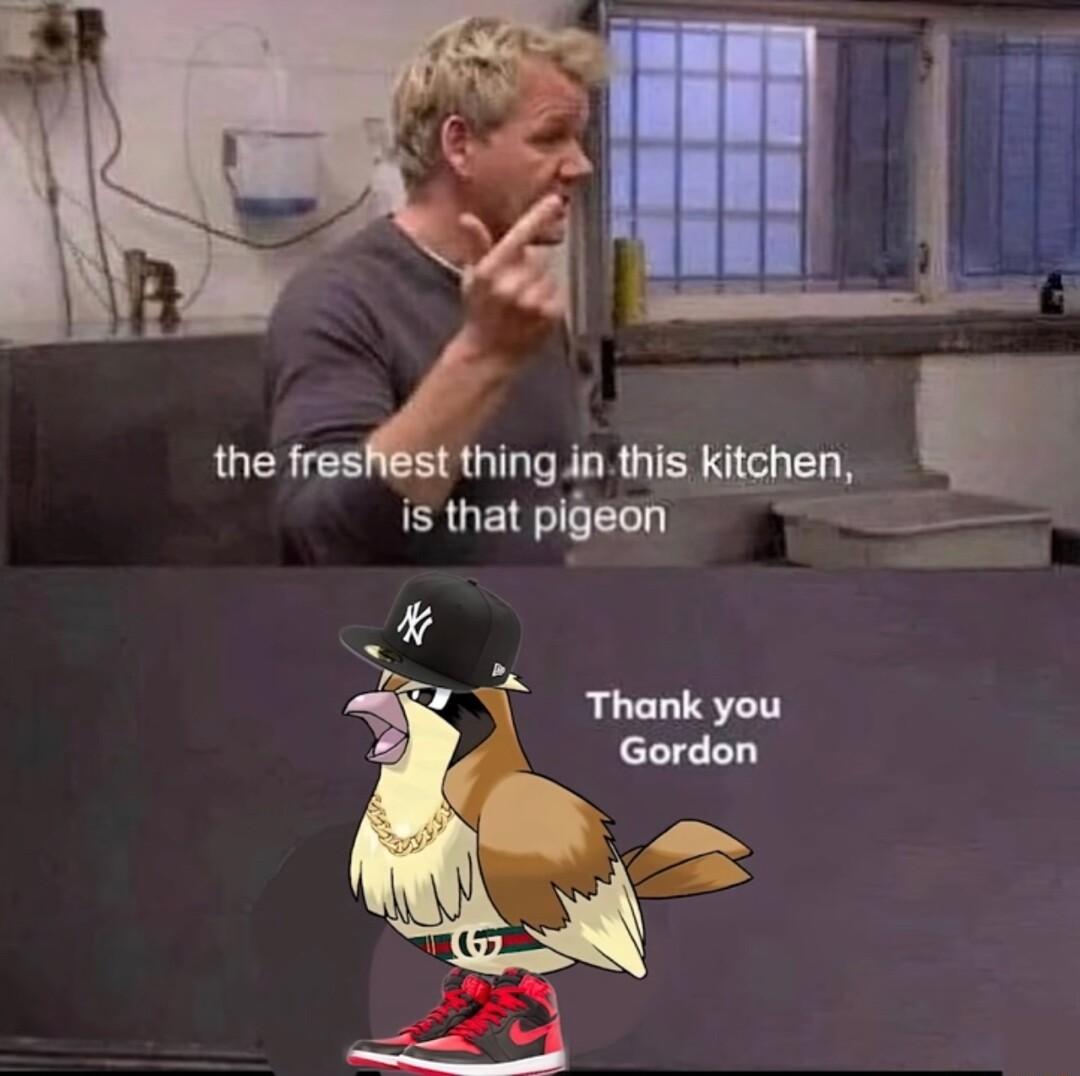 the fresRiest thing in this kitchen is that pigeon