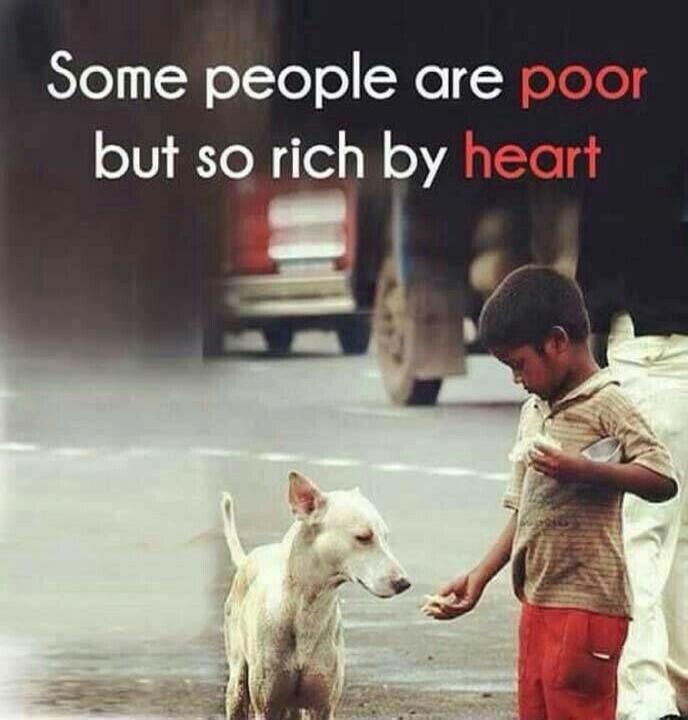 Some people are poor but so rich by heart. A young boy is feeding a stray dog on the street.