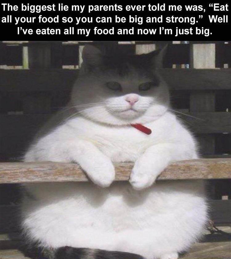 The biggest lie my parents ever told me was Eat all your food so you can be big and strong Well RCECHEURA GG ELGR AR BTSN