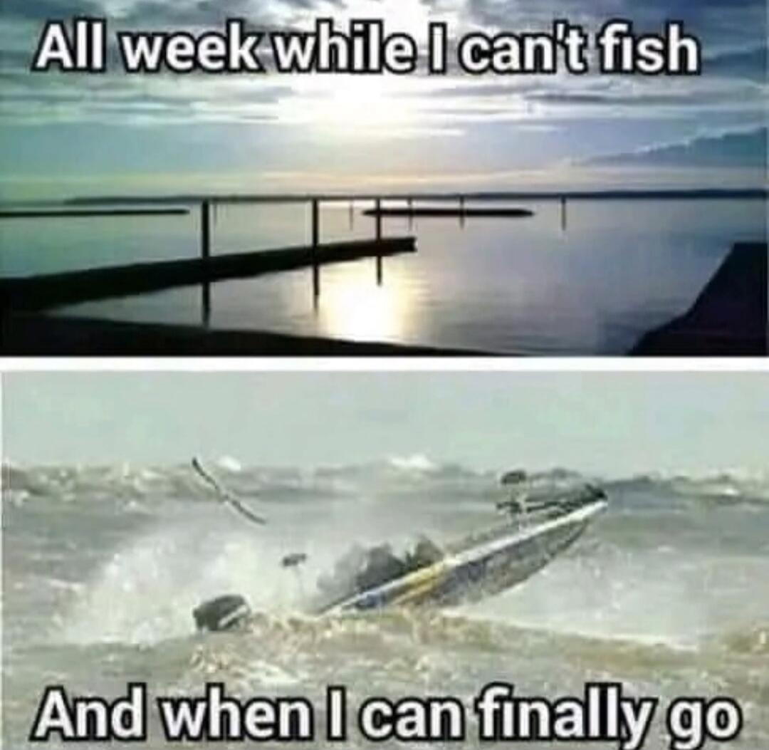 All week while I can't fish. And when I can finally go.