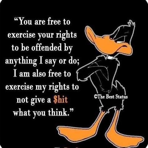 You are free to exercise your rights to be offended by anything I say or do; I am also free to exercise my rights to not give a $hit what you think.