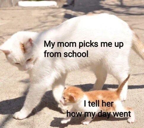 My mom picks me up from school _f P