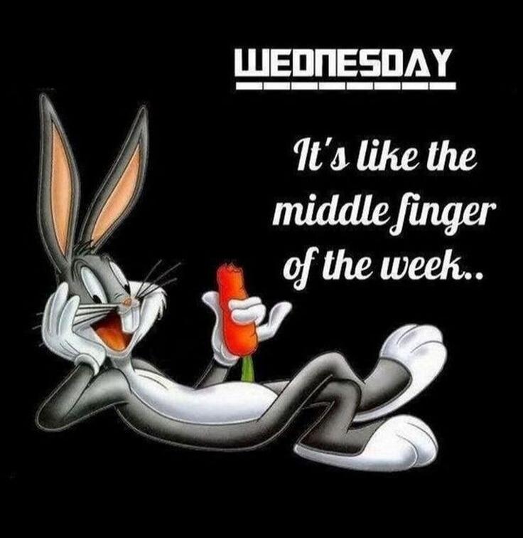 WEDNESDAY It's like the middle finger of the week..