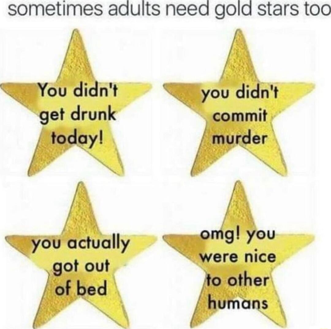 sometimes adults need gold stars too nt get drunk