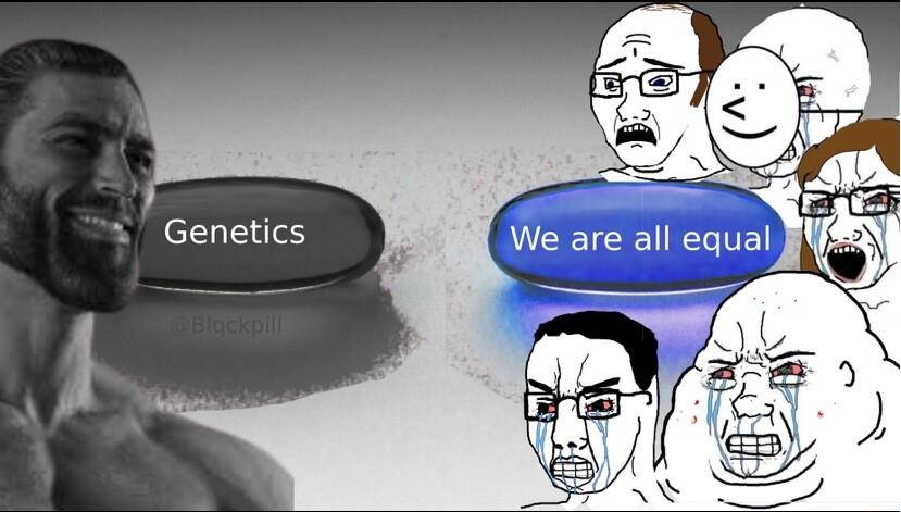 Genetics