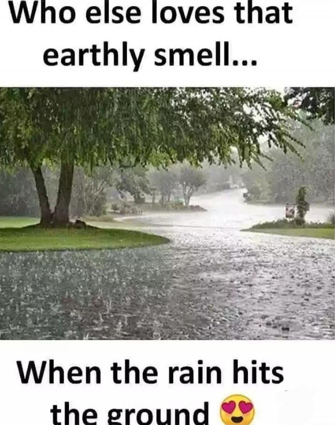 Who else loves that earthly smell... When the rain hits the ground