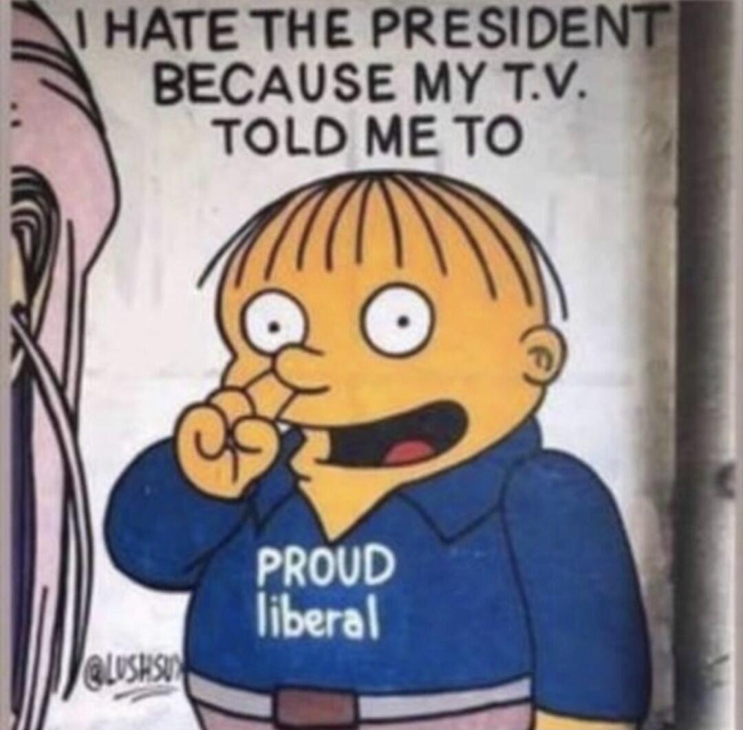 I HATE THE PRESIDENT BECAUSE MY T.V. TOLD ME TO
PROUD liberal
