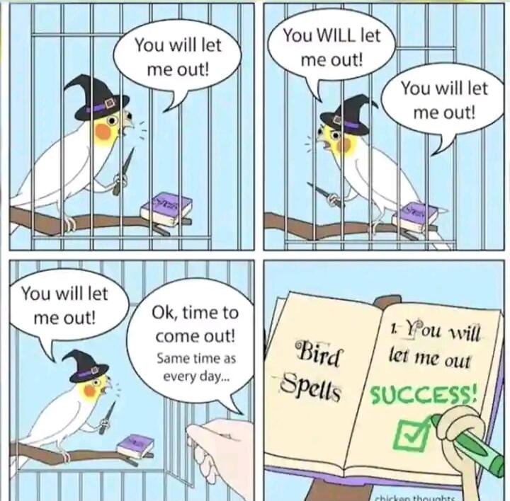 You WILL Ie You will let me out Ok time to come out Same time as every day