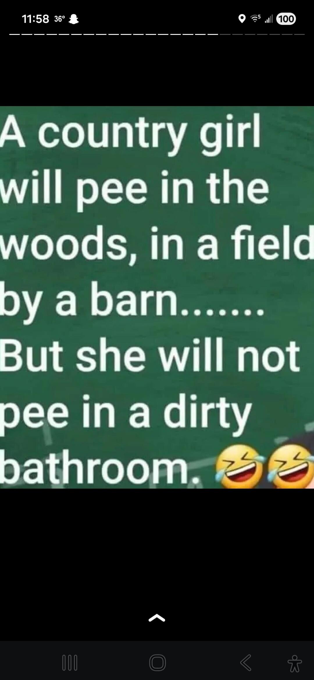 A country girl will pee in the woods, in a field by a barn... But she will not pee in a dirty bathroom.