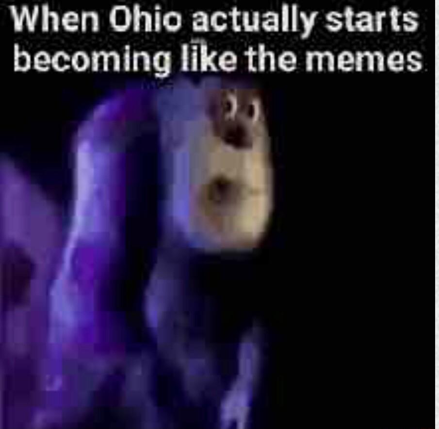 When Ohio actually starts becoming like the memes 8