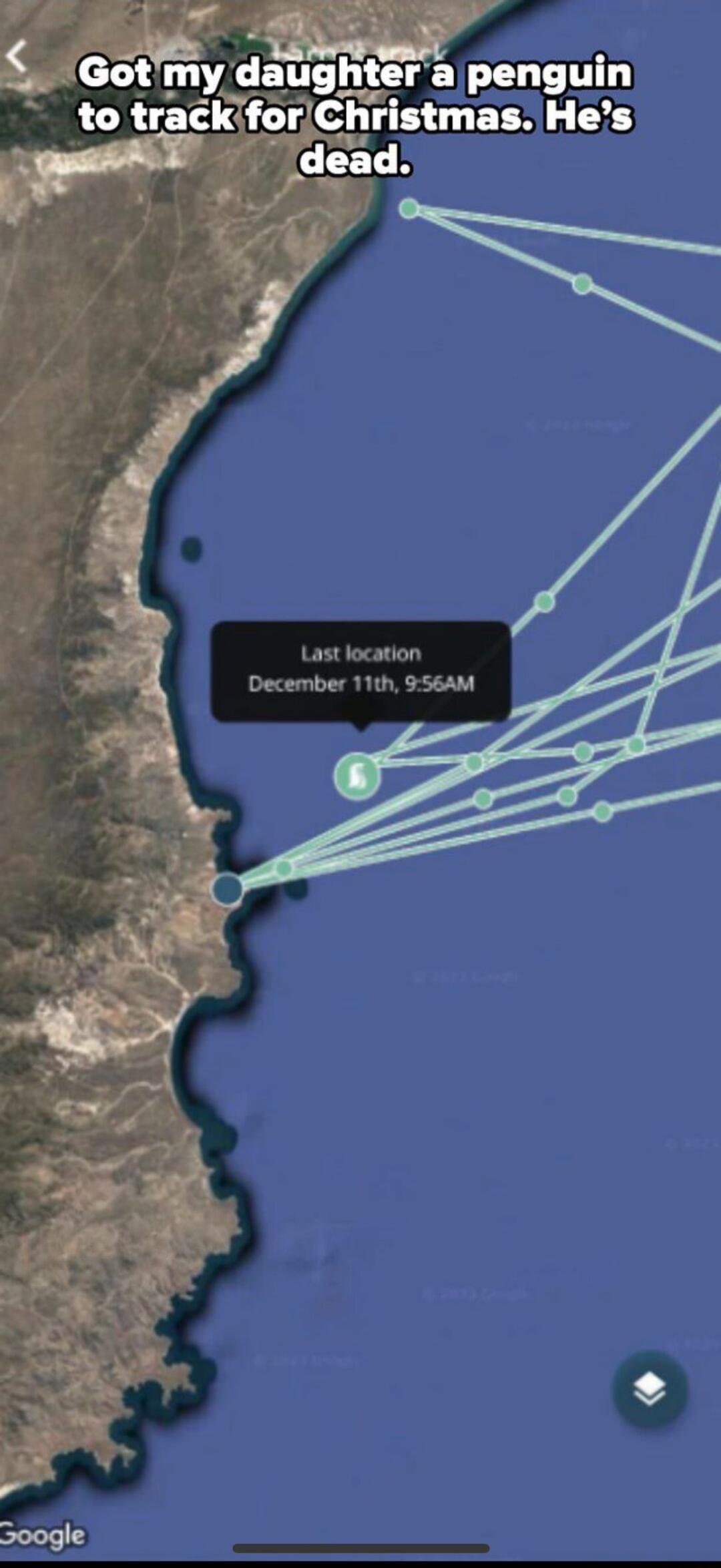 EGM ghtera penguin to trackforChristmas Hes Last location December 11th 956AM