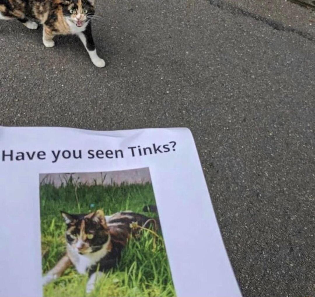 S Have you seen Tinks AP e