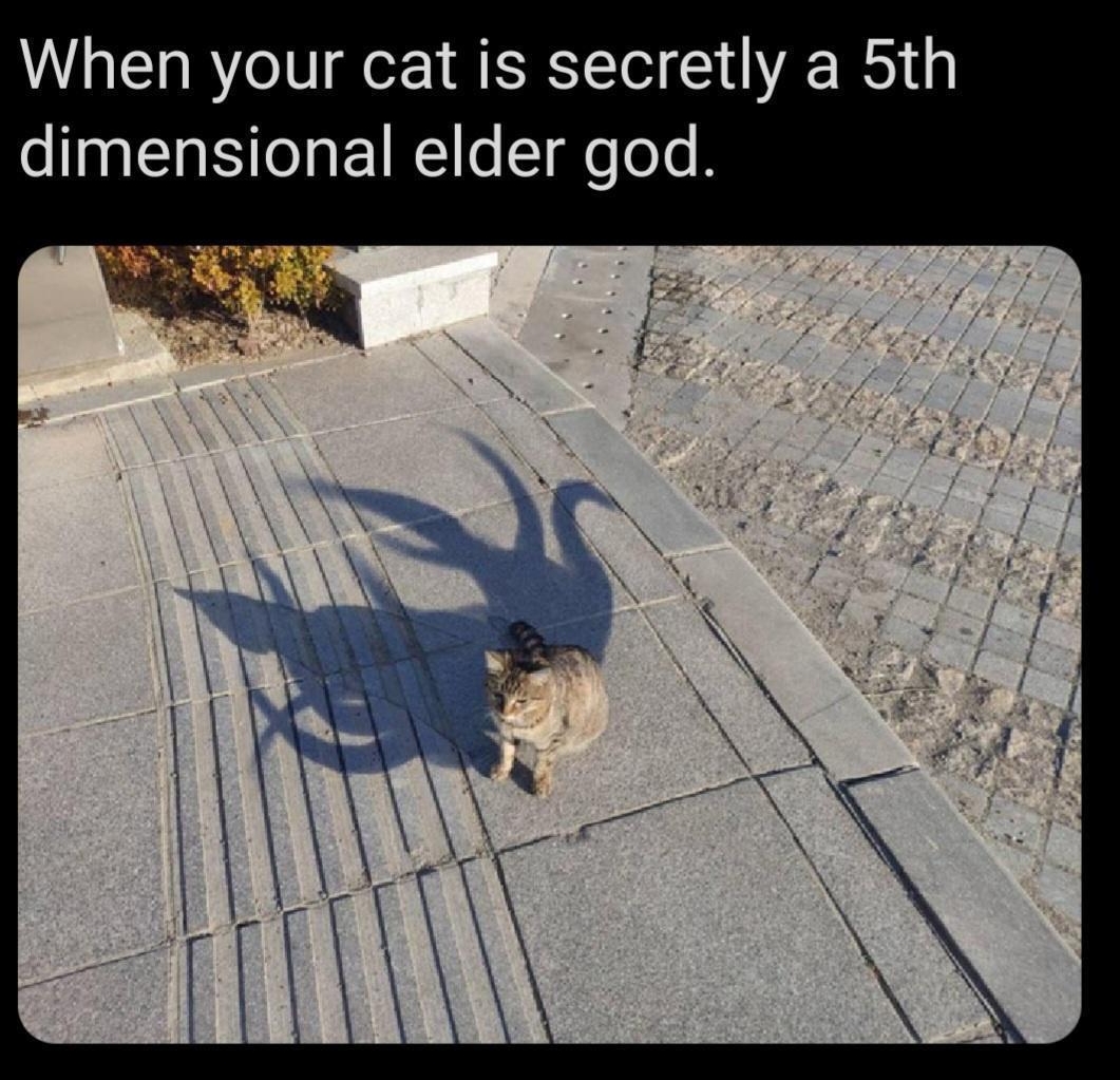 When your cat is secretly a 5th dimensional elder god