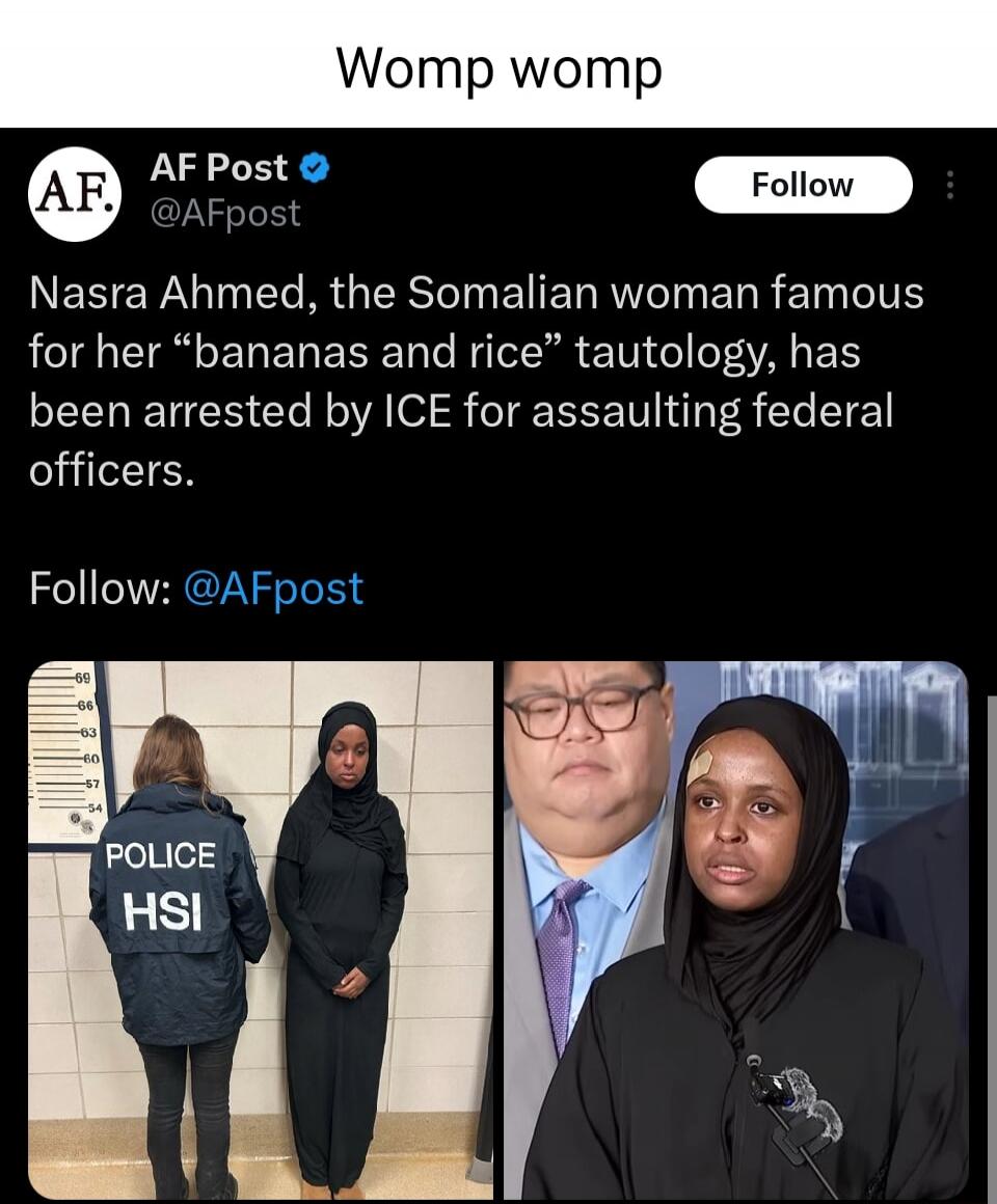 Nasra Ahmed, the Somali woman famous for her “bananas and rice” tautology, has been arrested by ICE for assaulting federal officers.

Follow: @AFpost