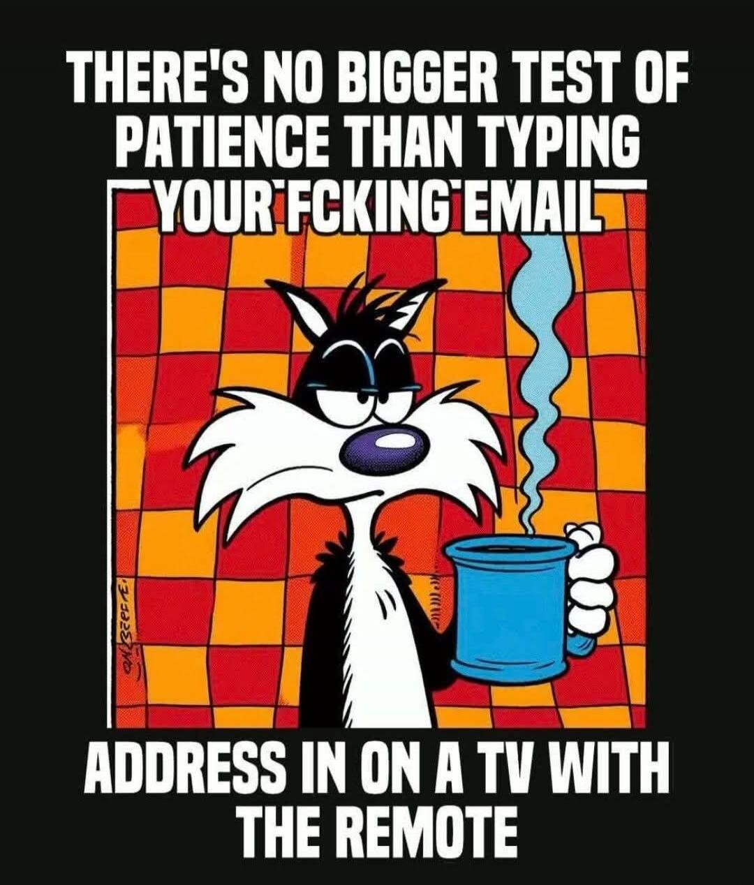 THERE'S NO BIGGER TEST OF PATIENCE THAN TYPING YOUR FCKING EMAIL ADDRESS IN ON A TV WITH THE REMOTE