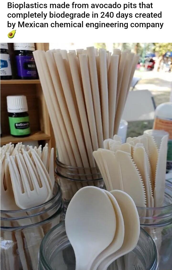 Bioplastics made from avocado pits that completely biodegrade in 240 days created by Mexican chemical engineering company o