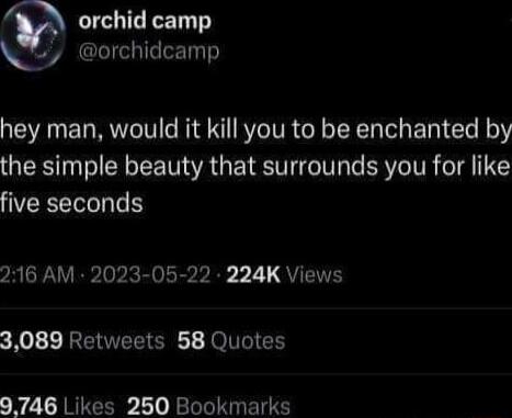 orchid camp orchidcamp hey man would it kill you to be enchanted by the simple beauty that surrounds you for like five seconds 216 AM 2023 05 22 224K Views 3089 Retweets 58 Quotes 0746 Likes 250 Bookmarks
