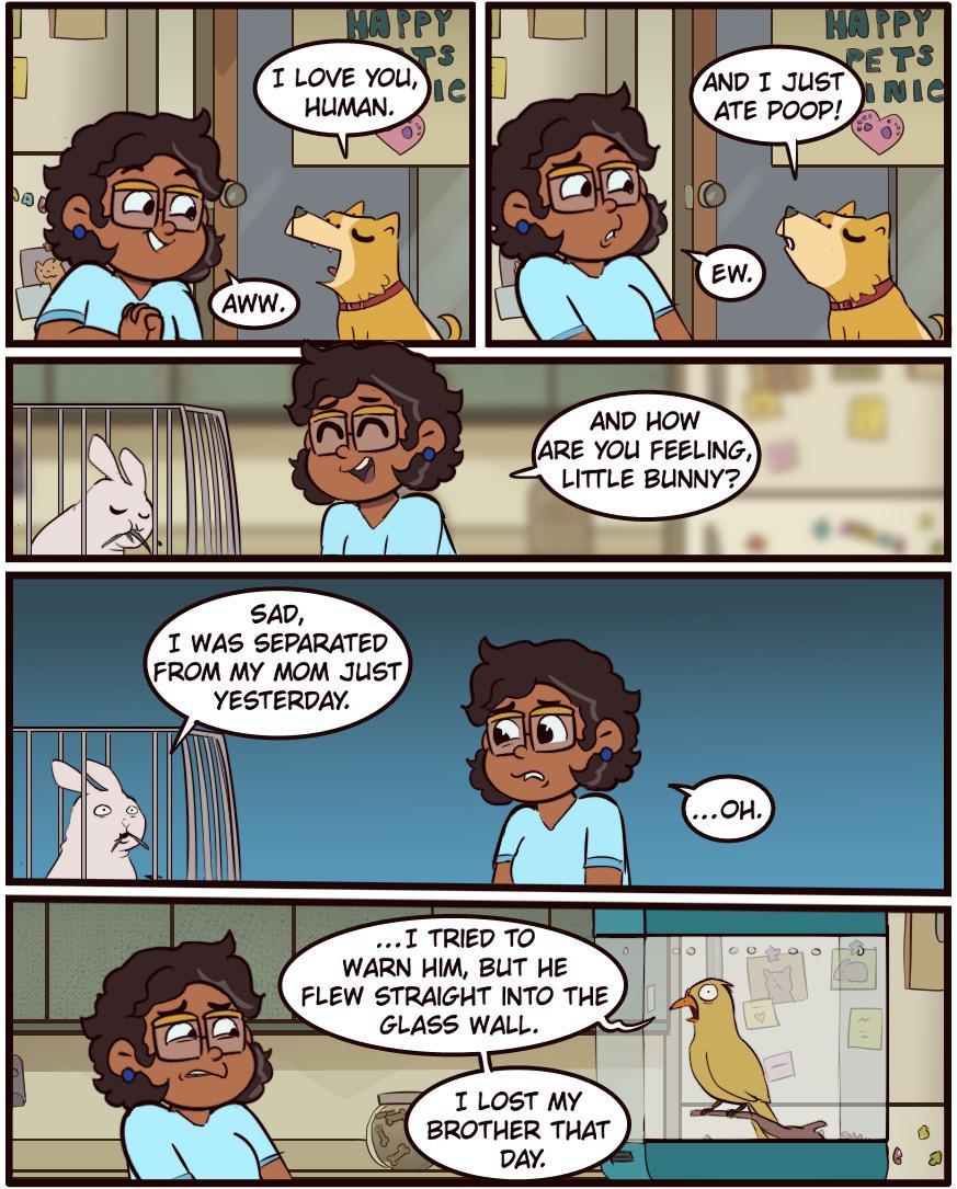 D uaw fame you FegLING LITTLE BUNNY WARN W BUT HE FLEW STRAGHT INTO THE