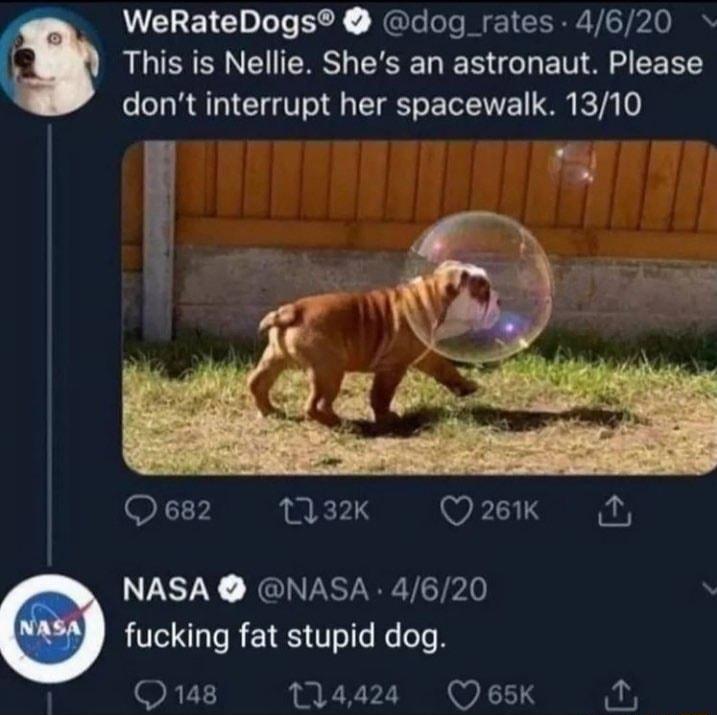 WeRateDogs dog_rates 4620 This is Nellie Shes an astronaut Please dont interrupt her spacewalk 1310 17 132K Q21k N NASA NASA 4620 fucking fat stupid dog RV 144248 Q65K i