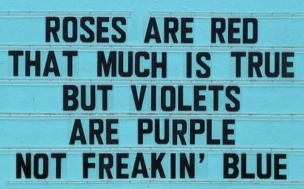 ROSES ARE RED THAT MUCH IS TRUE BUT VIOLETS ARE PURPLE NOT FREAKIN' BLUE