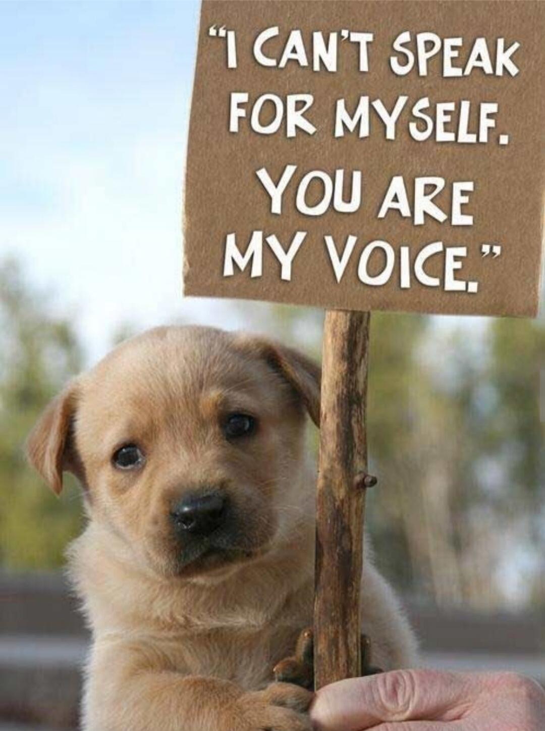 I can't speak for myself. You are my voice.