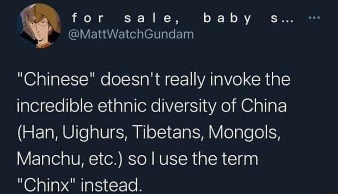 for s alle 0 JF T o JA VAR 00NN MattWatchGundam Chinese doesnt really invoke the incredible ethnic diversity of China Han Uighurs Tibetans Mongols VETalel s IVT oR RS To N RO SIRialR Elgay Chinx instead