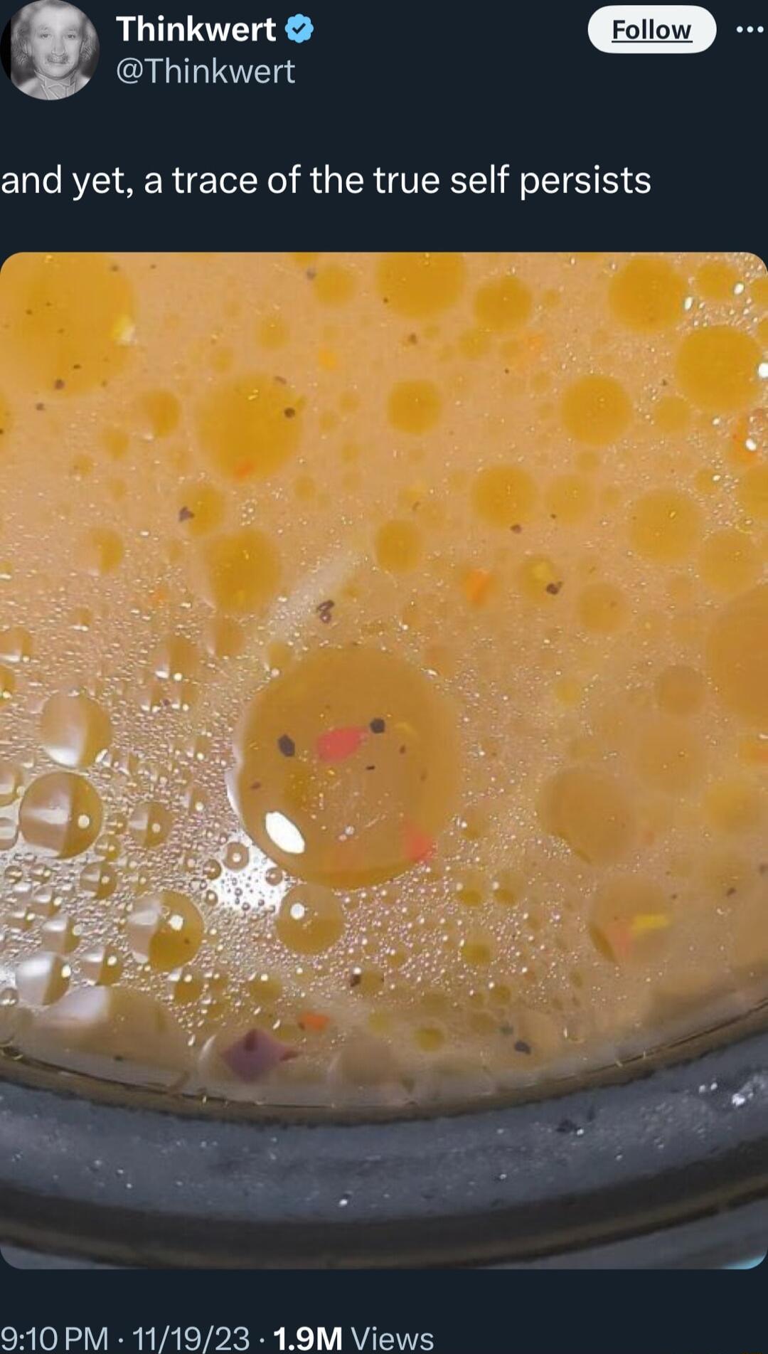 8 Thinkwert Thinkwert and yet a trace of the true self persists 3