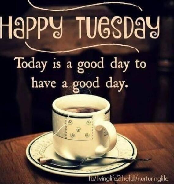 Happy Tuesday
Today is a good day to have a good day.