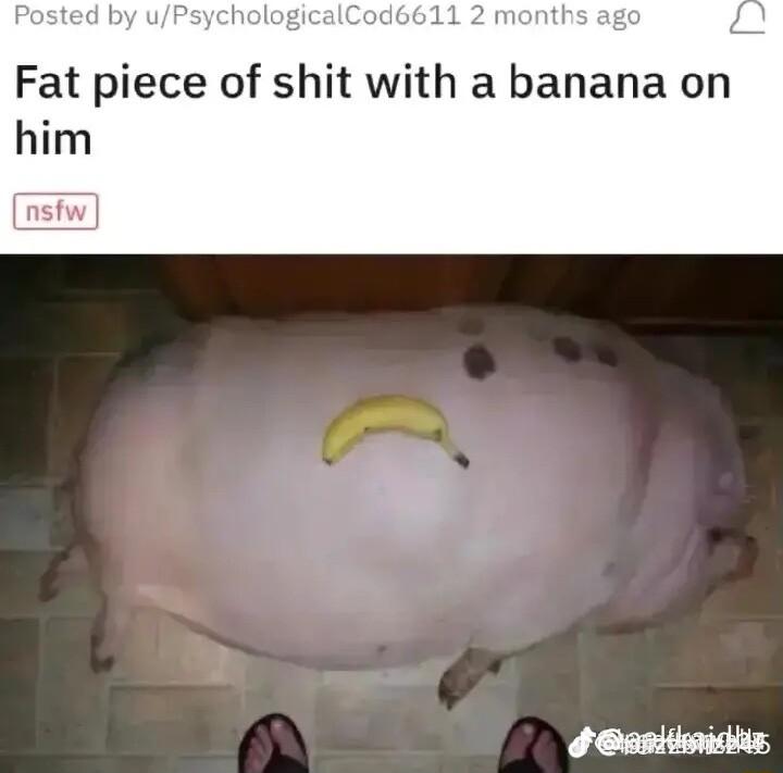 Posted by uPsych Fat piece of shit with a banana on him i anitistidiin