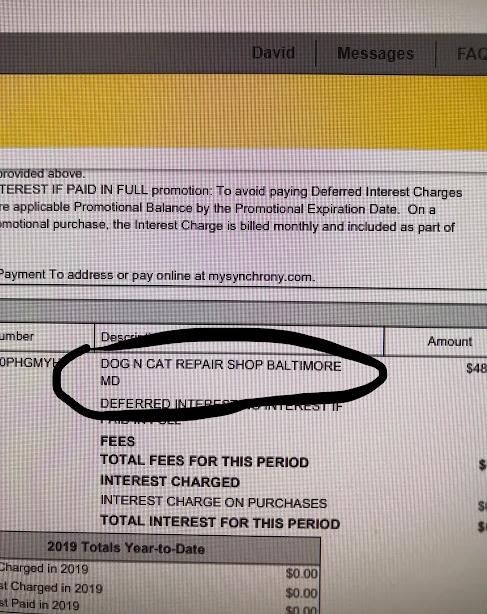 FOVitEd Shaver T TEREST IF PAID IN FULL promotian To avoid paying Deferred Interest Charges appiicable Promational Balance by the Promotional Expiration Date On a motional purchase the Interest Charga is billed monthly and included as part of ayment To address or pay orline at mysynchronycom mber Deg OPHGMY DOG N CAT REPAIR SHOP BALTIMORE s48 MD DEFERR FEES TOTAL FEES FOR THIS PERIOD s INTEREST CH
