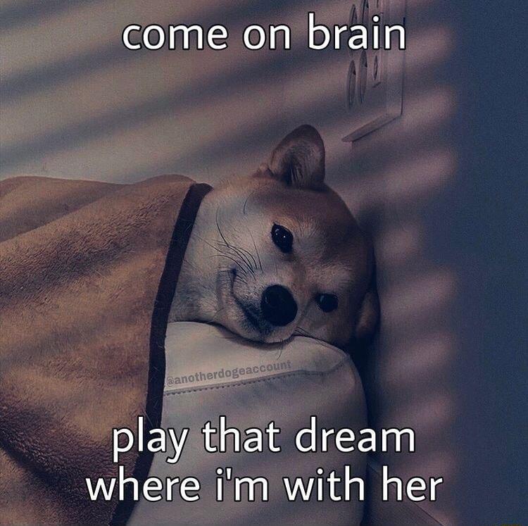 come on brain playthat dream where ifmiwith her