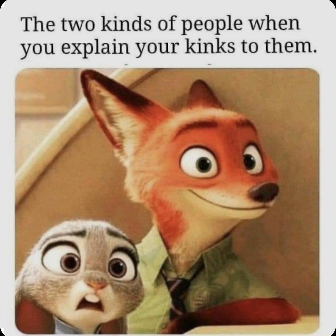 The two kinds of people when you explain your kinks to them