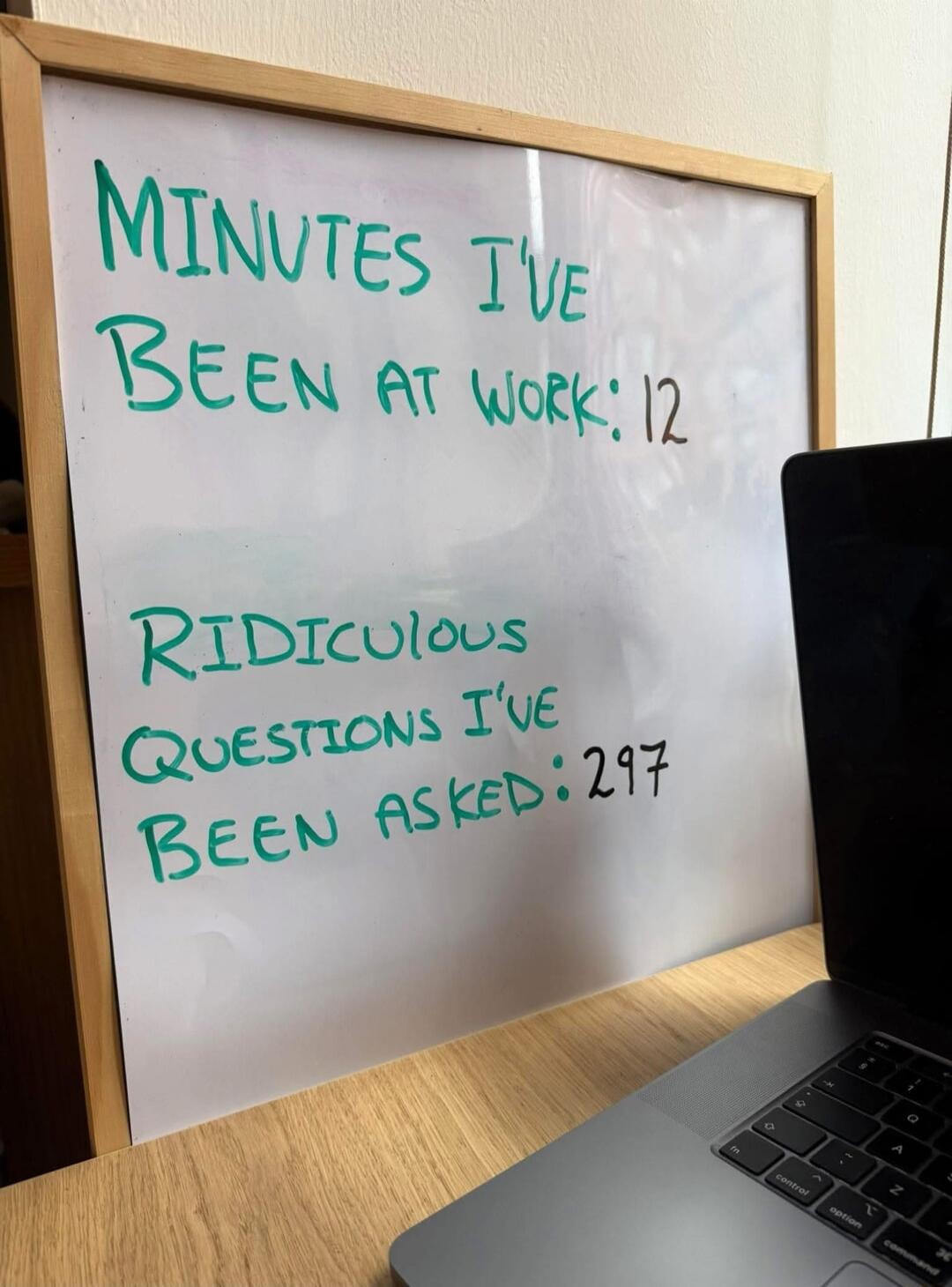 MINUTES I'VE BEEN AT WORK: 12\nRIDICULOUS QUESTIONS I'VE BEEN ASKED: 297