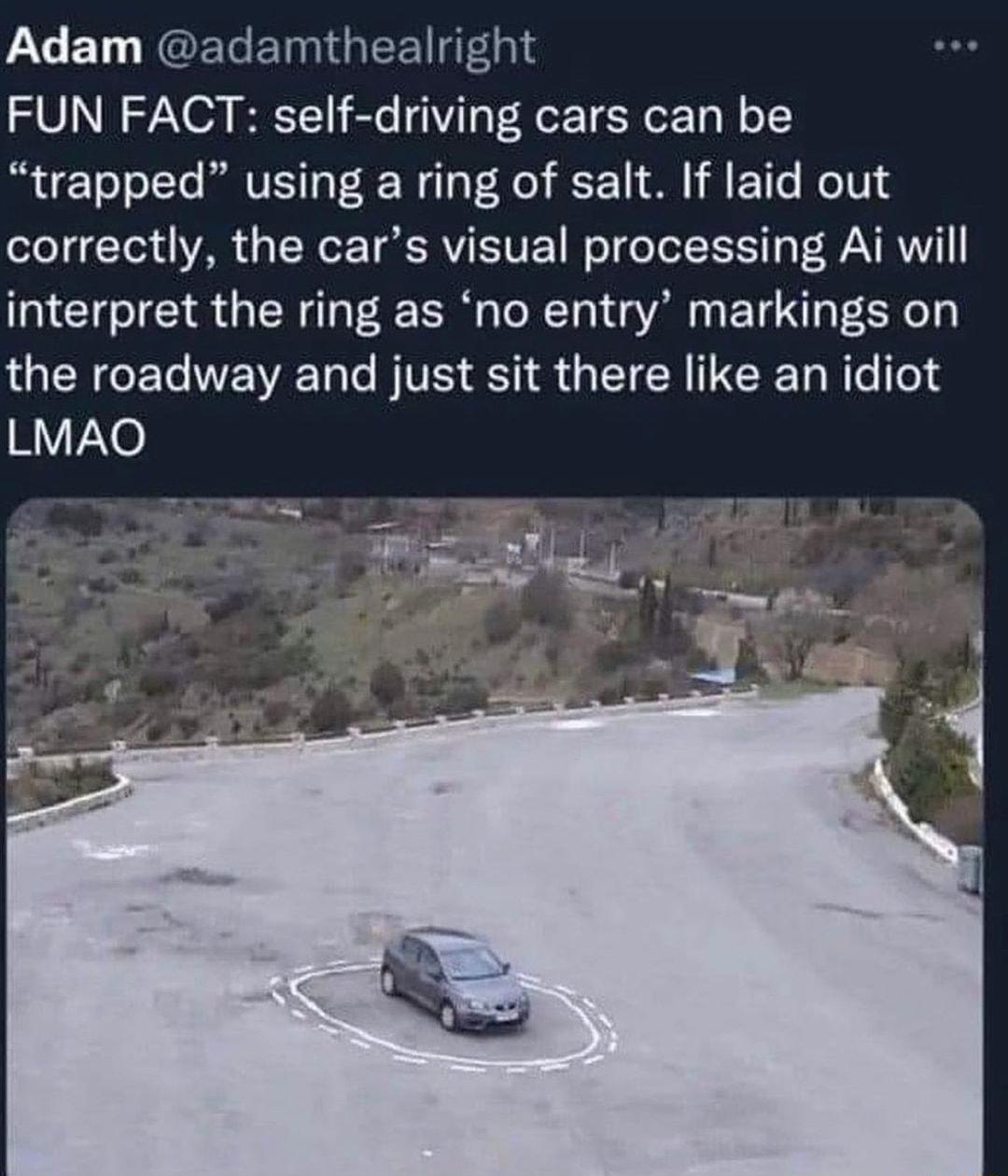 0 BT NGEGEIGEEI TG FUN FACT self driving cars can be trapped using a ring of salt If laid out correctly the cars visual processing Ai will interpret the ring as no entry markings on the roadway and just sit there like an idiot LMAO L T