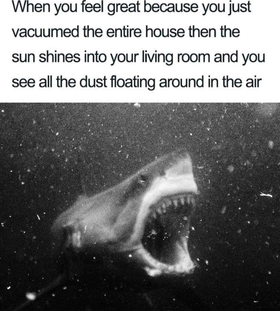 When you feel great because you just vacuumed the entire house then the sun shines into your living room and you see all the dust floating around in the air