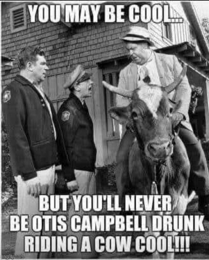 YOU MAY BE COOL... BUT YOU'LL NEVER BE OTIS CAMPBELL DRUNK RIDING A COW COOL!!!