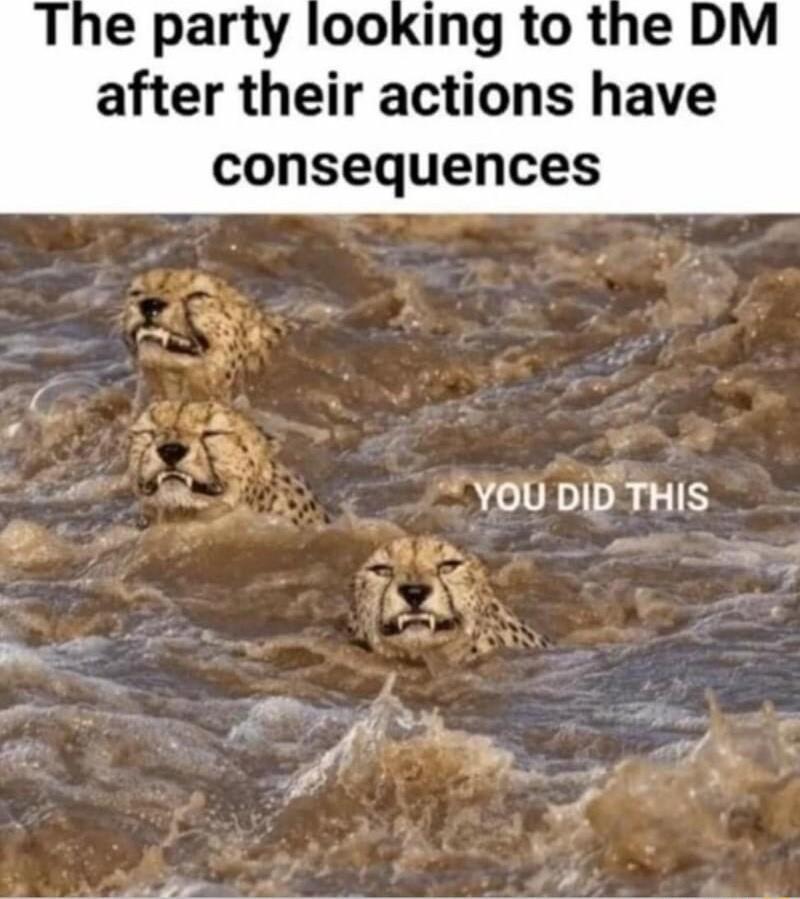 The party looking to the DM after their actions have consequences