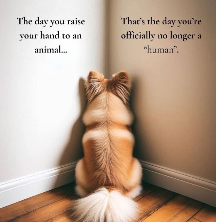 The day you raise your hand to an animal... That's the day you're officially no longer a 