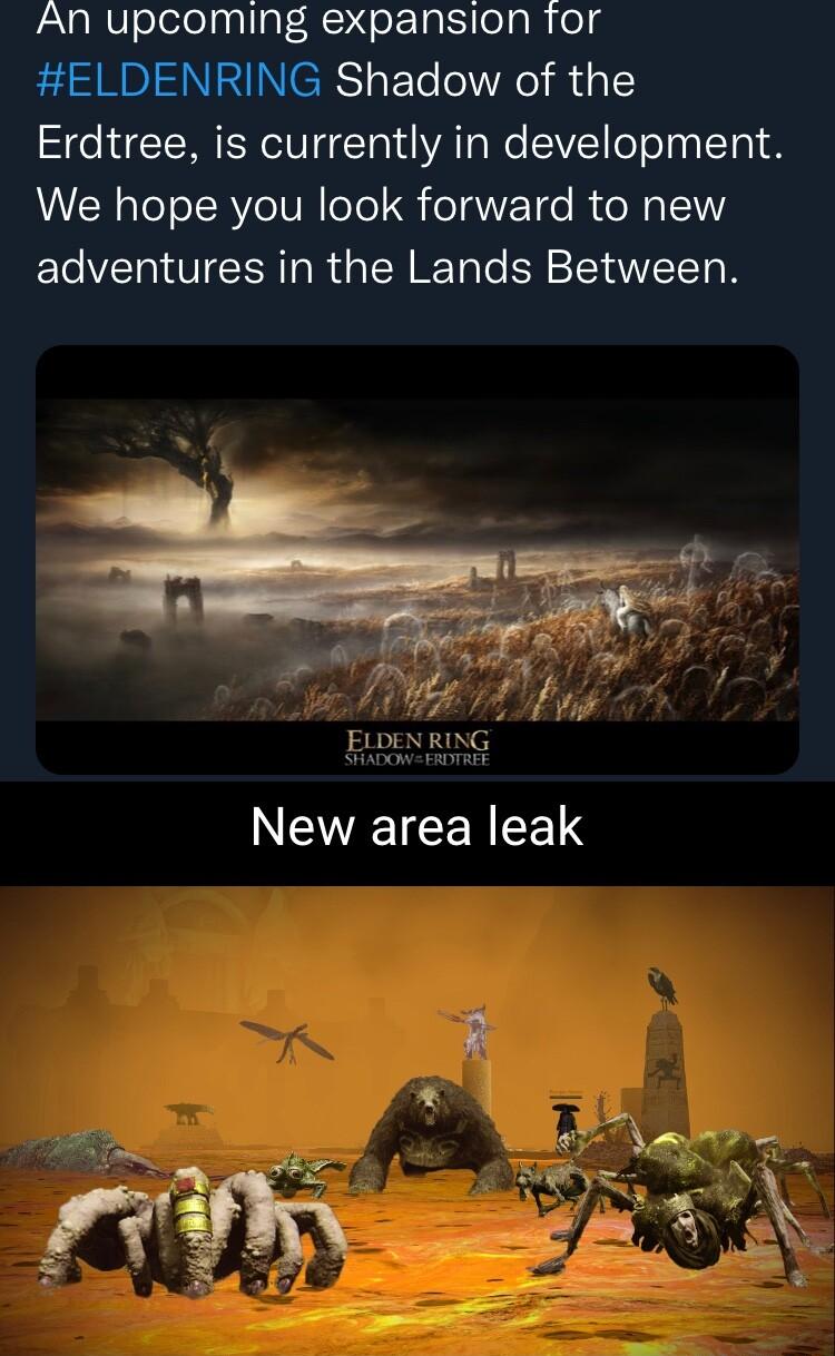 An upcoming expansion tor ELDENRING Shadow of the Erdtree is currently in development We hope you look forward to new adventures in the Lands Between VTR RS