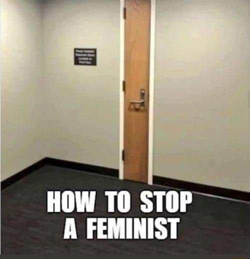 HOW TO STOP A FEMINIST