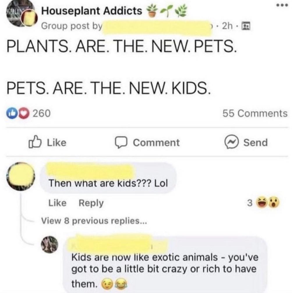 Houseplant Addicts o Group post by 2h PLANTS ARE THE NEW PETS PETS ARE THE NEWKIDS 0 260 55 Comments o Like D Comment send Tllnen wla are lls Lol Like Reply 3 View 8 previous replies Kis a w e exotic animals youve got to be a little bit crazy or rich to have them 2