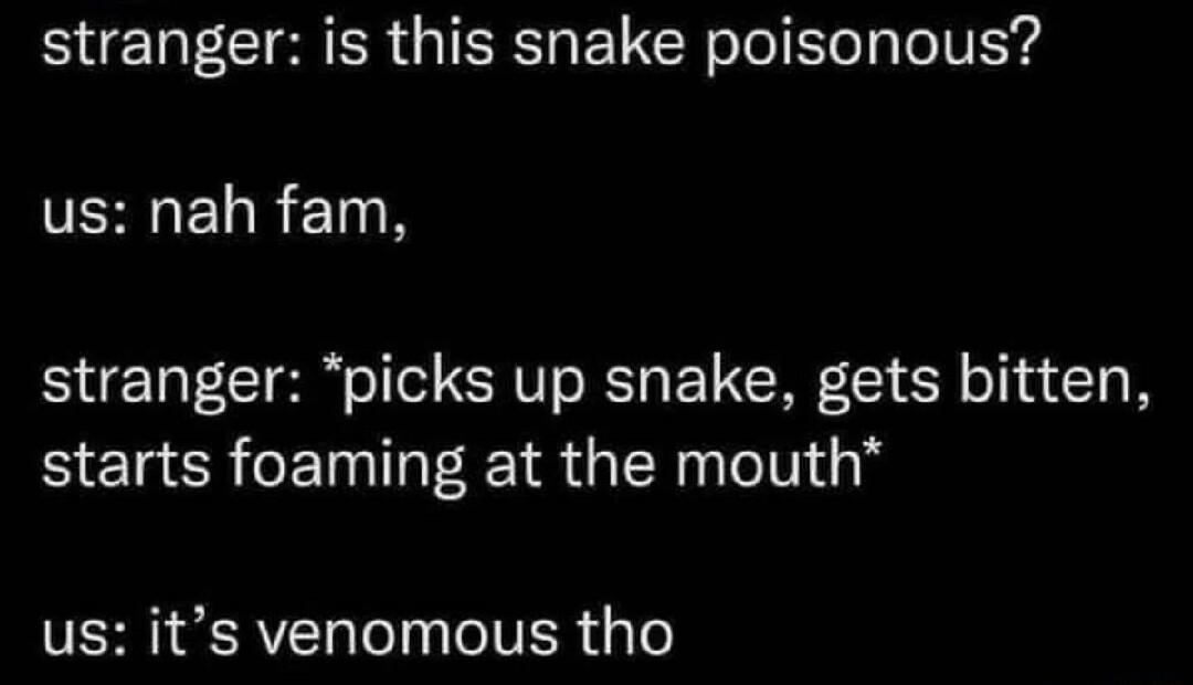 BN CI TR GIEE BRI e IVEYd VSLELRETN stranger picks up snake gets bitten starts foaming at the mouth VRN RVl ol o VER iy