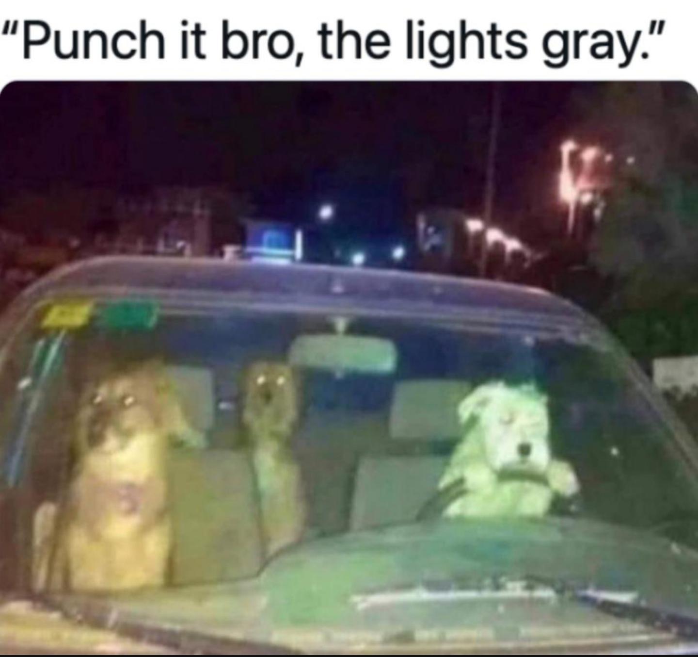 Punch it bro the lights gray