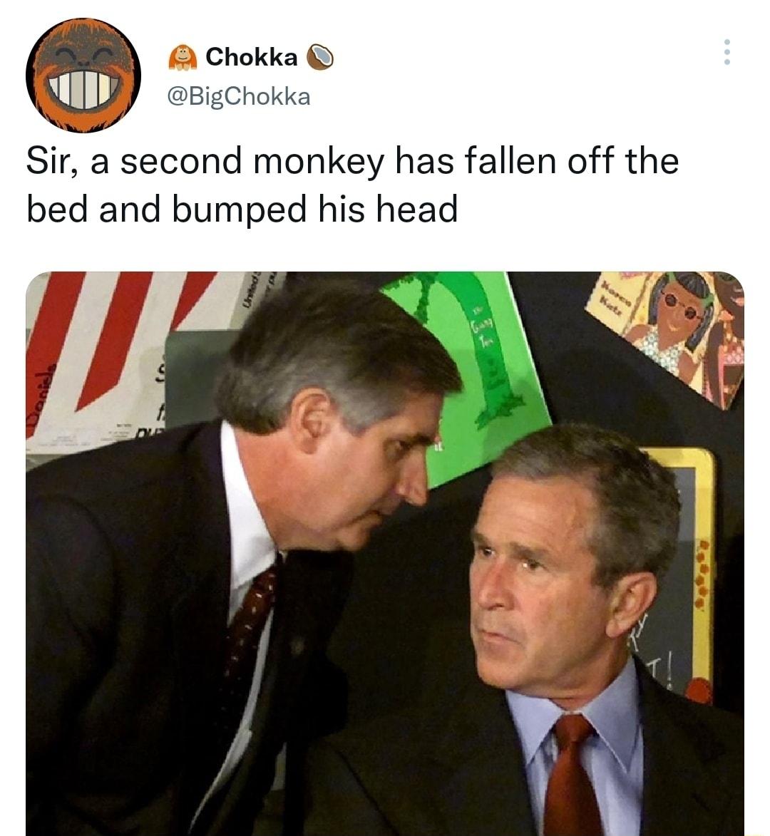 Chokka ka Sir a second monkey has fallen off the bed and bumped his head