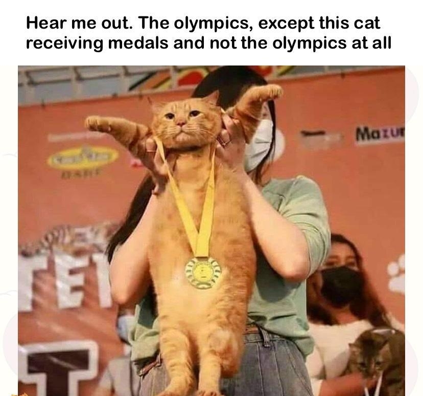 Hear me out The olympics except this cat receiving medals and not the olympics at all