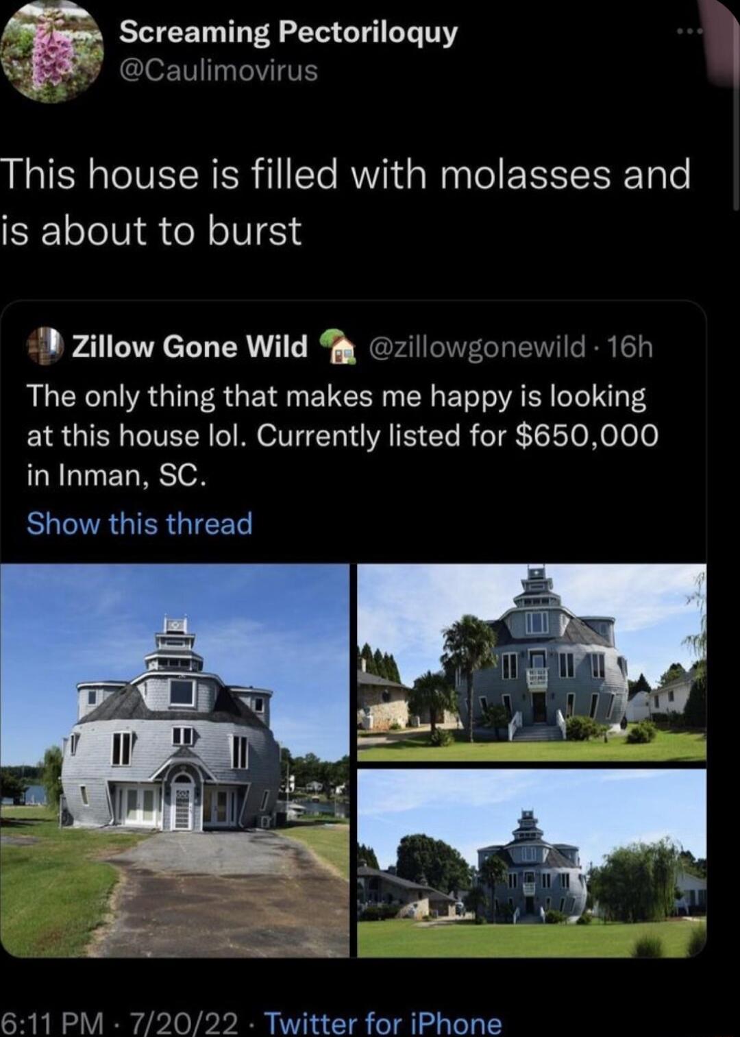 Screaming Pectoriloquy Caulimoviru This house is filled with molasses and is about to burst Zillow Gone Wild onewild 16 The only thing that makes me happy is looking at this house lol Currently listed for 650000 in Inman SC BUENRGIER IR 292 Twitter for iPhone