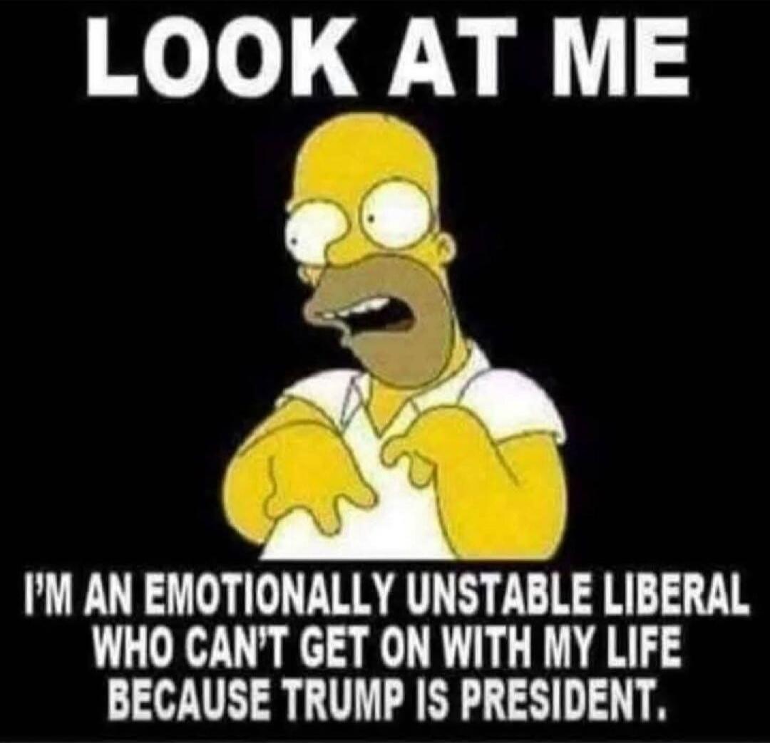 LOOK AT ME I'M AN EMOTIONALLY UNSTABLE LIBERAL WHO CAN'T GET ON WITH MY LIFE BECAUSE TRUMP IS PRESIDENT.