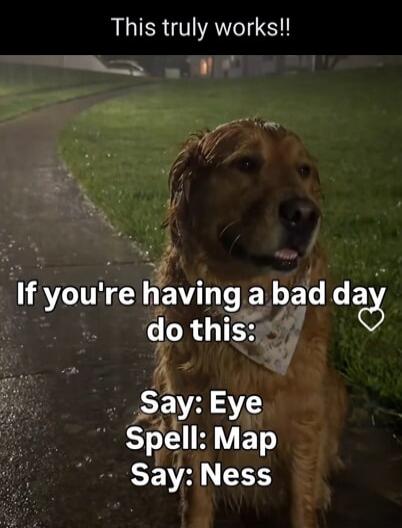 This truly works!! If you're having a bad day do this: Say: Eye Spell: Map Say: Ness
